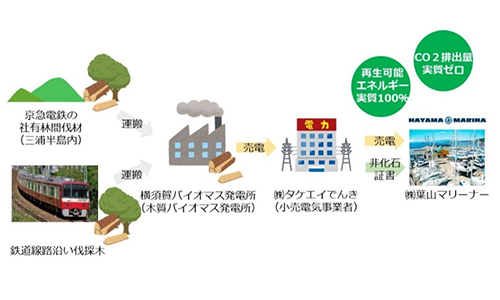 「葉山マリーナ」が地産地消の再エネ100％電力に切り替え