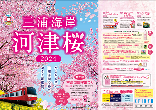 三浦海岸桜まつり 20周年！！京急「三浦海岸河津桜2024」キャンペーンを開催