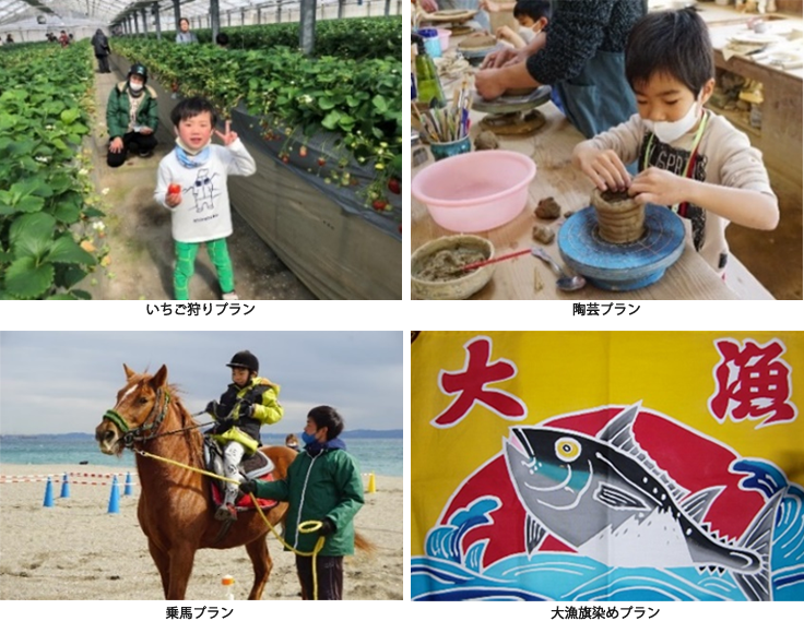 京急電鉄:三浦の早咲き桜の季節に行く！「三浦半島でたっぷり遊ぶバラエティーツアー」