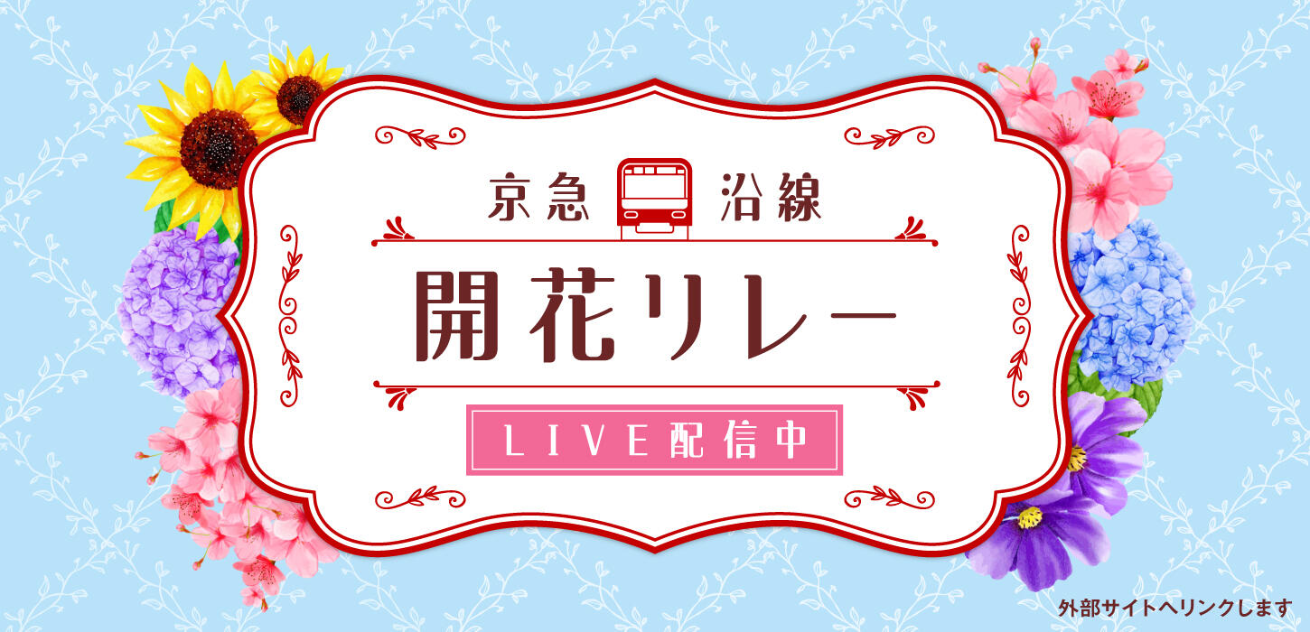 京急沿線開花リレー