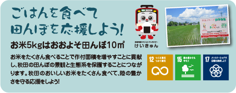 ごはんを食べて田んぼを応援しよう！お米5kgはおおよそ田んぼ10㎡。お米をたくさん食べることで作付面積を増やすことに貢献し、秋田の田んぼの景観と生態系を保護することにつながります。秋田のおいしいお米をたくさん食べて、陸の豊かさを守る応援をしよう！