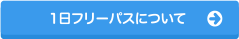 1日フリーパスについて