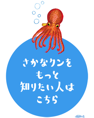 さかなクンをもっと知りたい人はこちら