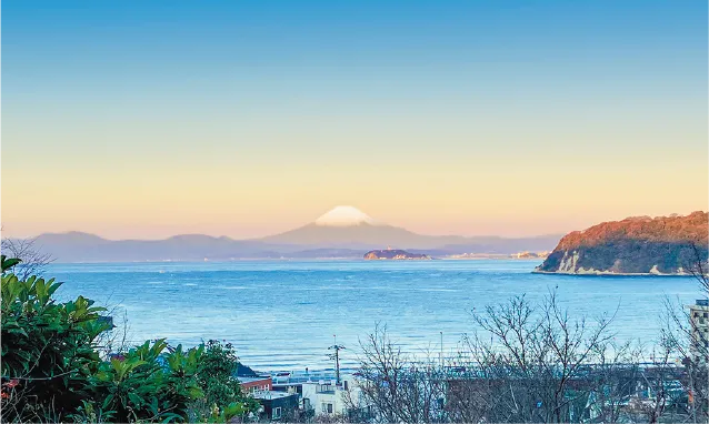 蘆花記念公園(逗子市)・梅