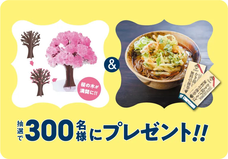 抽選で300名様にプレゼント!!