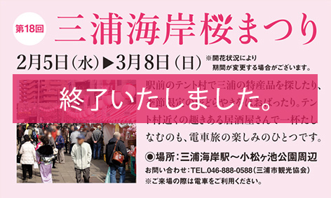 三浦海岸桜まつり
