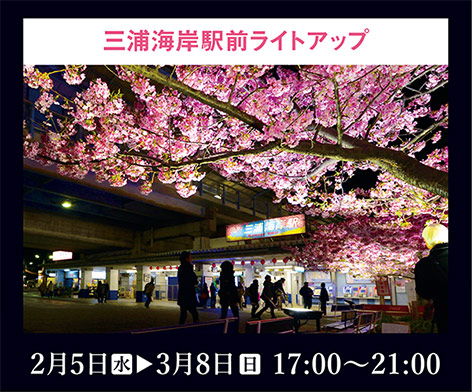 三浦海岸駅前ライトアップ