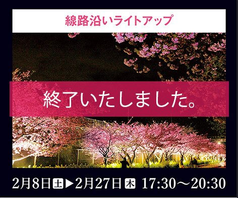 線路沿いライトアップ