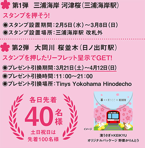 第1弾 三浦海岸 河津桜(三浦海岸駅) 第2弾 大岡川 桜並木(日ノ出町駅)