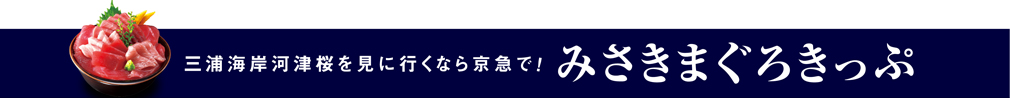 みさきまぐろきっぷ