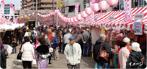 三浦海岸桜まつりイメージ