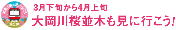 【京急で桜を見に行こう2022 第2弾】3月下旬から4月上旬 大岡川桜並木も見に行こう！