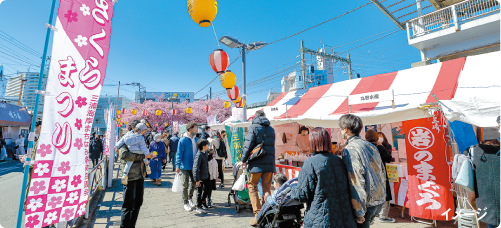 三浦海岸桜まつりイメージ