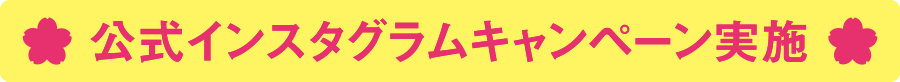 公式インスタグラムキャンペーン実施