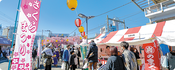 三浦海岸桜まつりイメージ