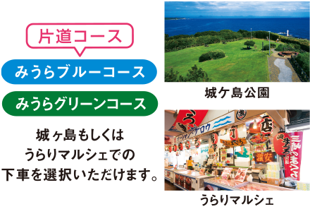 片道コース みうらブルーコース みうらグリーンコース 城ヶ島もしくはうらりマルシェでの下車を選択いただけます。