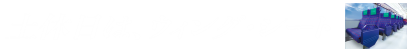 土休日は、ウィング・シート