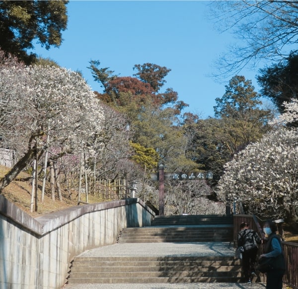 成田山公園