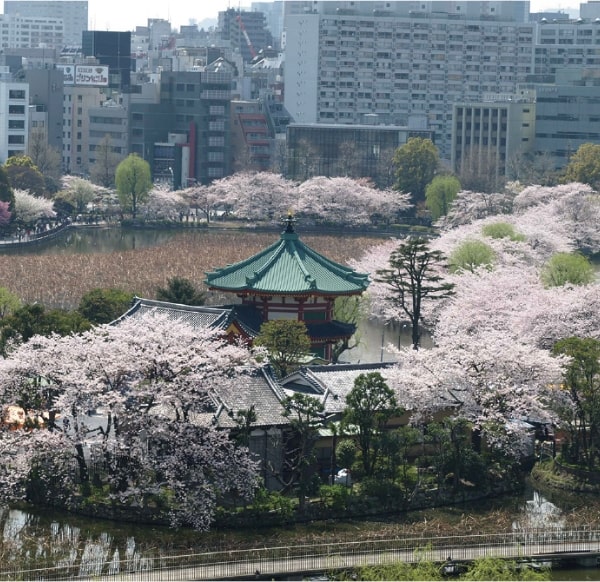 上野恩賜公園