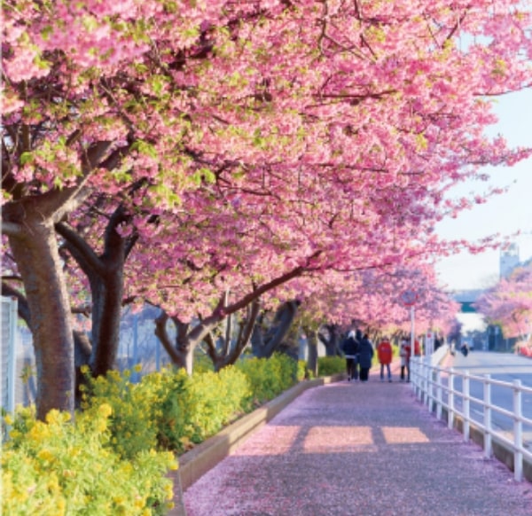 小松ヶ池公園