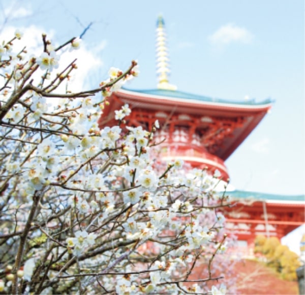 成田山公園
