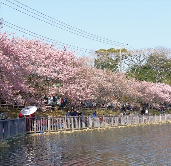 小松ヶ池公園