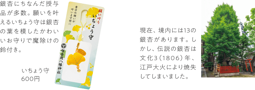 いちょう守
