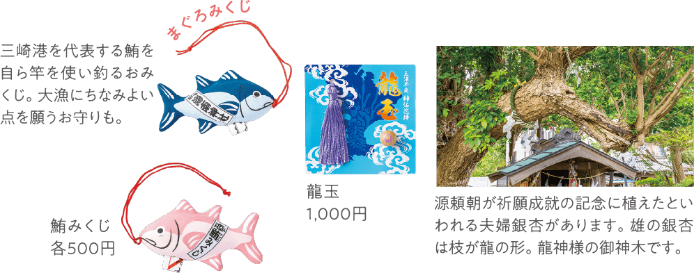 まぐろみくじ 鮪みくじ 龍玉