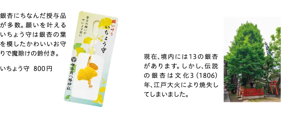 いちょう守
