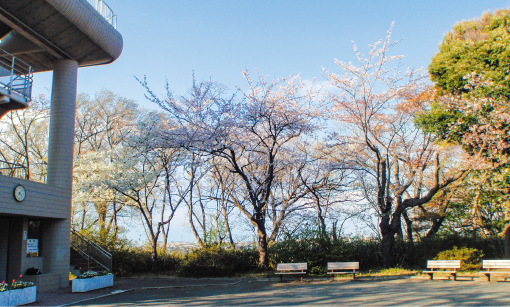 弘明寺公園
