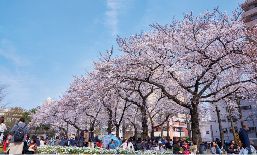 蒔田公園