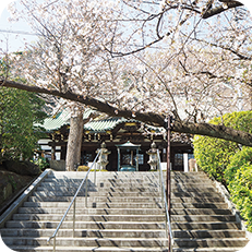 常照寺イメージ