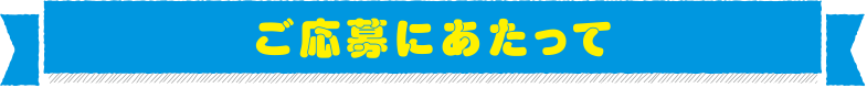 ご応募にあたって