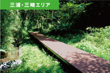 小網代の森 三崎エリア