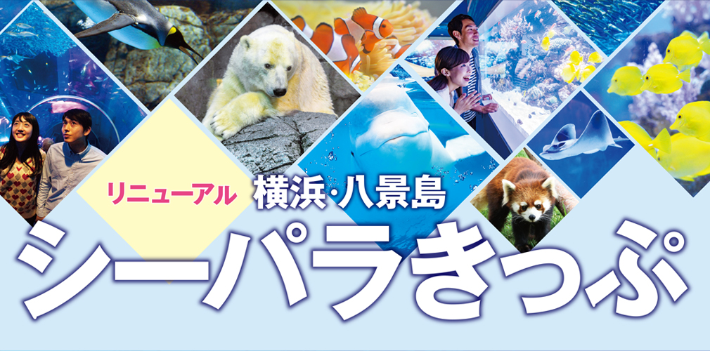 横浜 八景島シーパラきっぷ おトクなきっぷ 京浜急行電鉄 Keikyu